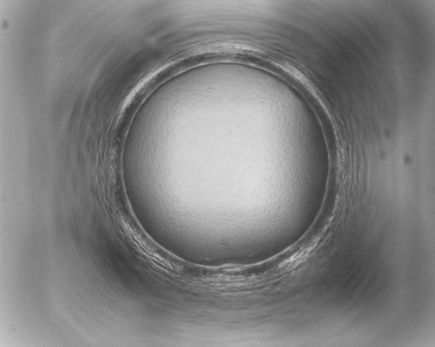 X0000054450783200508191635