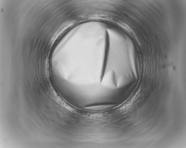 X0000054450798200508191635
