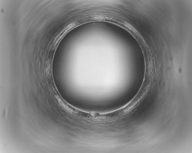 X0000054450801200508191635