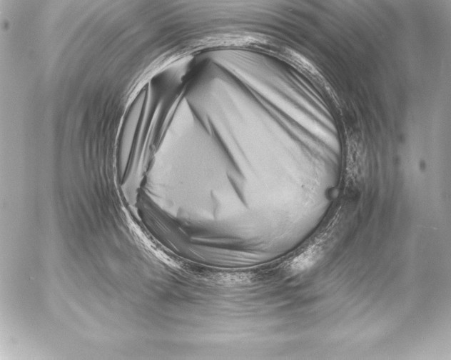 X0000054450802200508191635