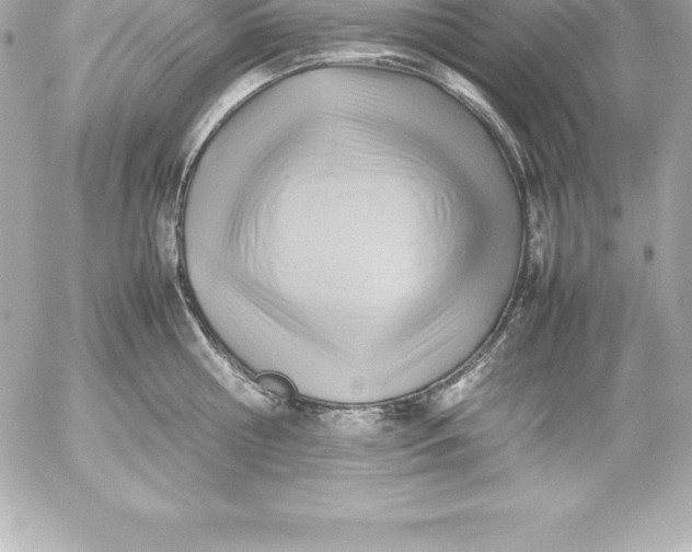 X0000054450810200508191635