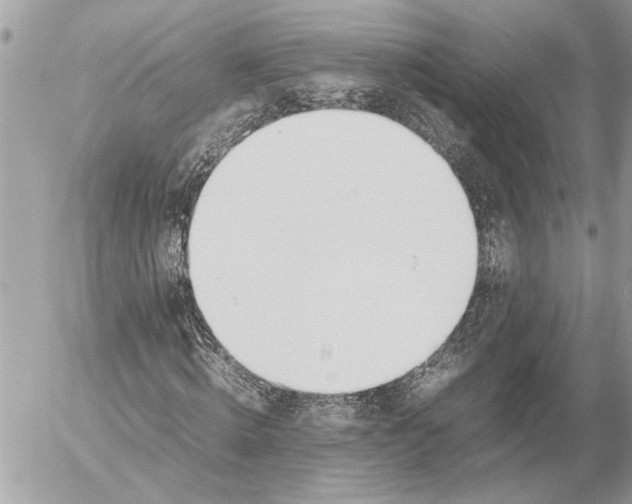 X0000054450820200508191634