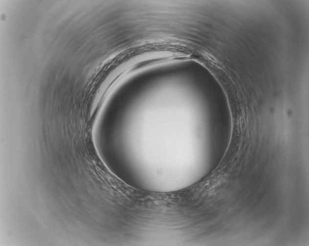 X0000054450822200508191634