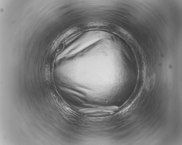 X0000054450825200508191634