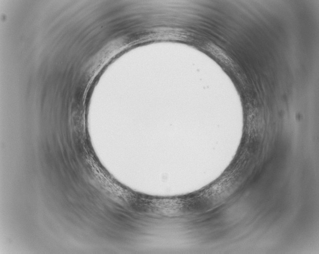 X0000054450836200508191634