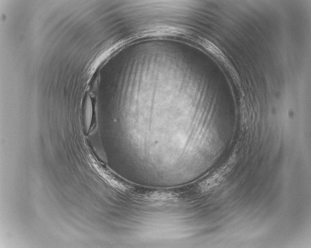 X0000054450842200508191635