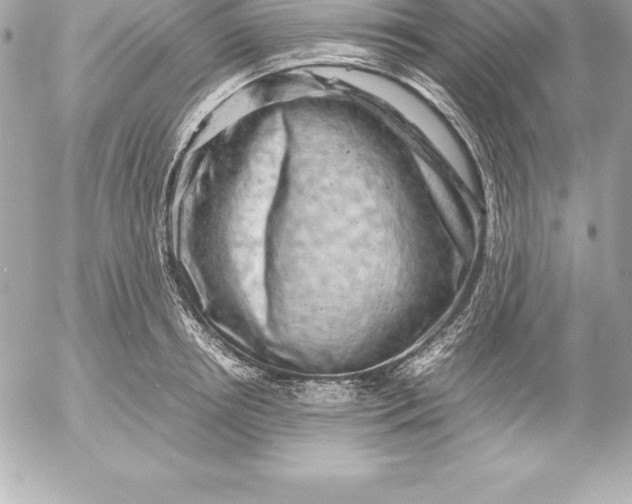 X0000054450850200508191635