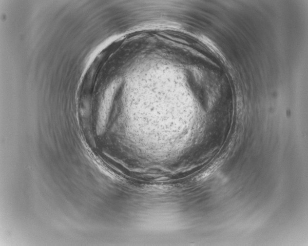 X0000054450854200508191635