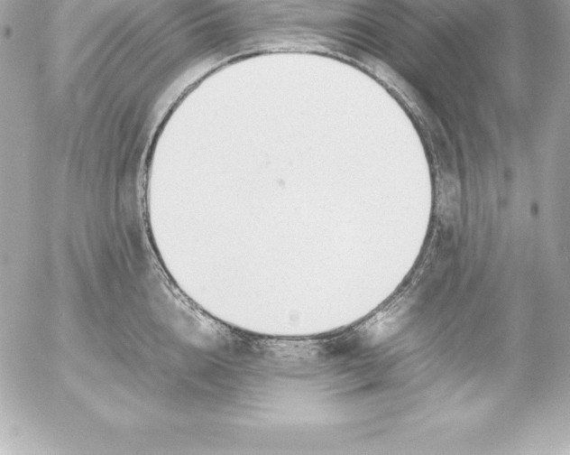 X0000054450856200508191635