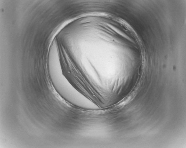X0000054450860200508191635
