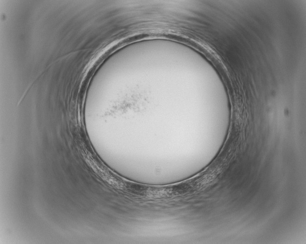 X0000054450887200508191634