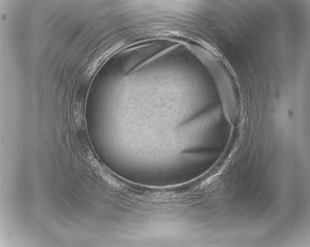 X0000054450889200508191634