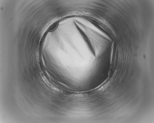 X0000054450896200508191634