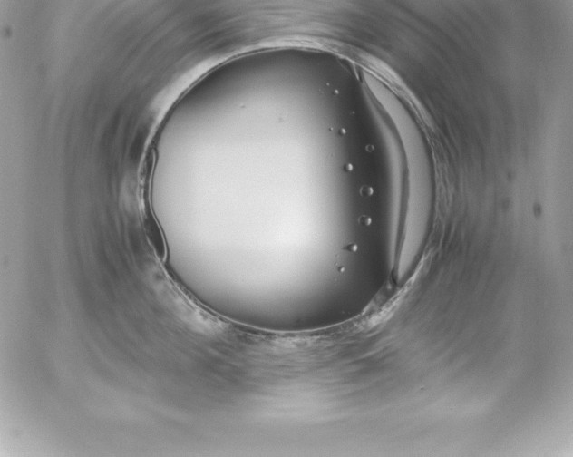 X0000054450908200508191633