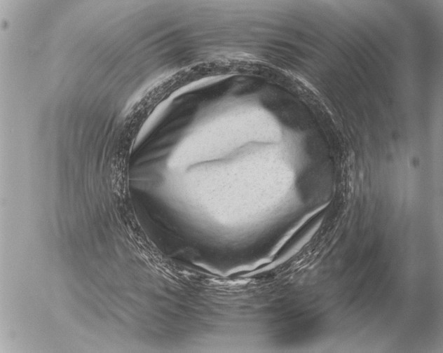 X0000054450919200508191633
