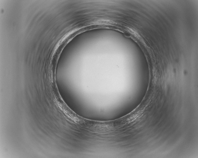 X0000054450931200508191633
