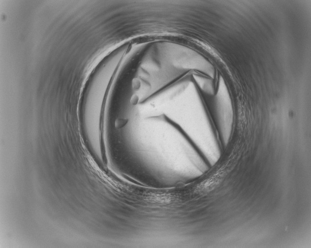 X0000054450935200508191633