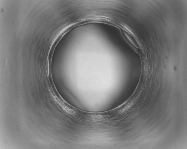 X0000054450940200508191633