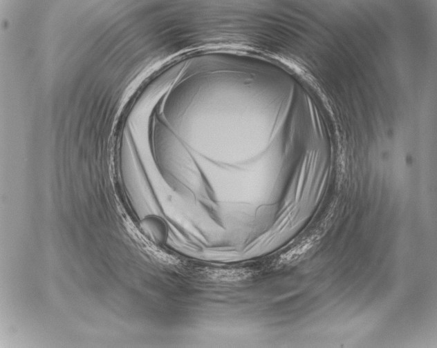 X0000054450941200508191633