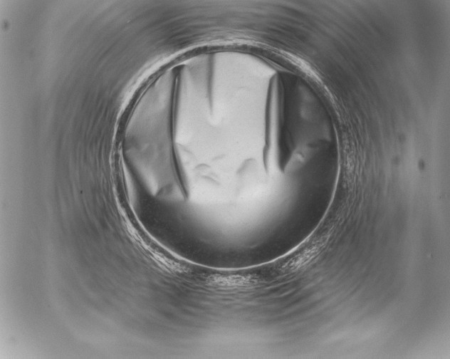 X0000054450943200508191633