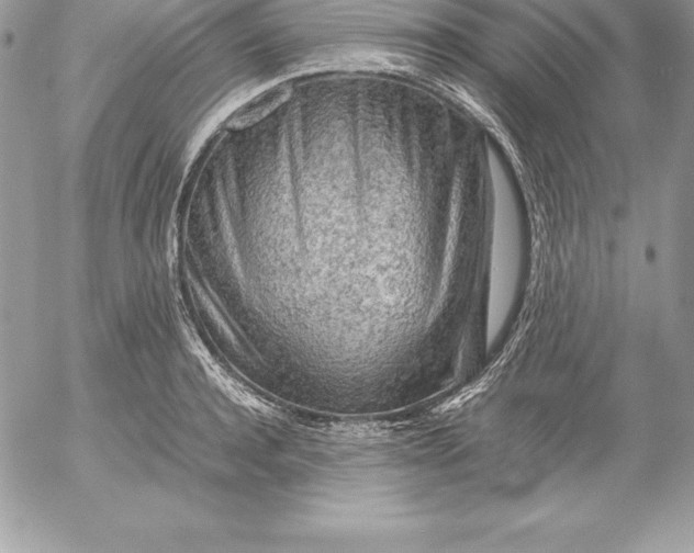X0000054450944200508191633