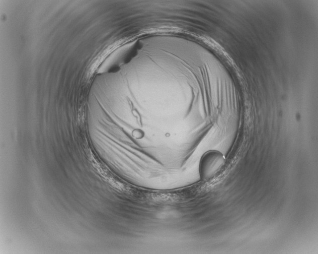 X0000054450945200508191633