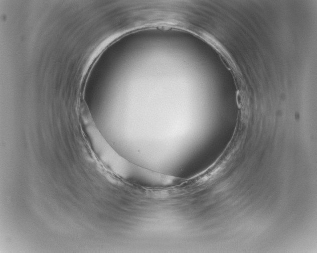 X0000054450956200508191633