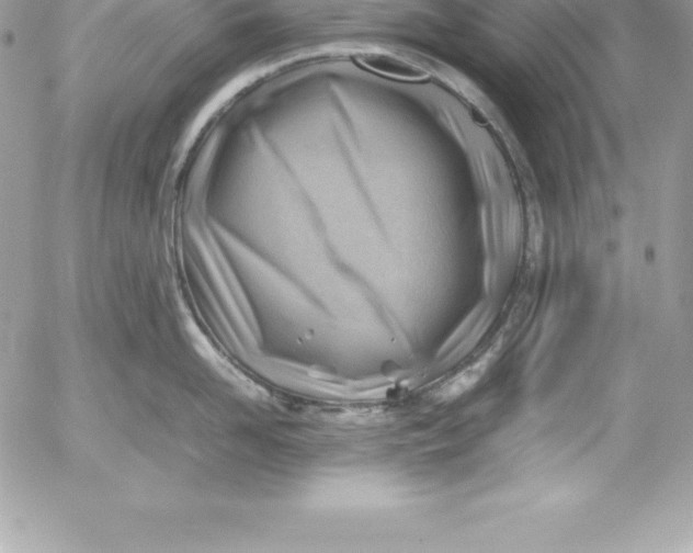 X0000054450958200508191633