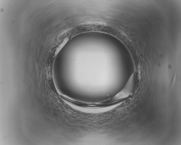 X0000054450965200508191632