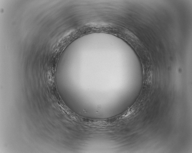 X0000054450966200508191632