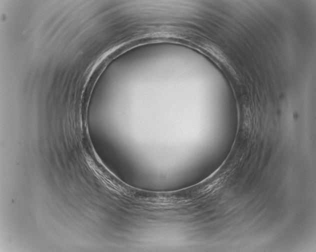 X0000054450980200508191632