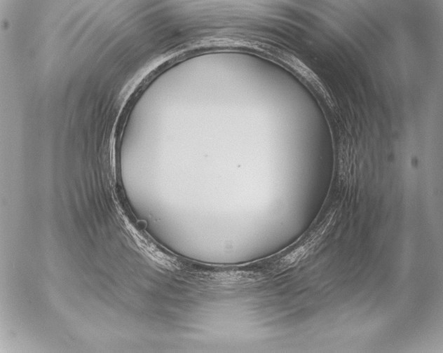 X0000054450988200508191632