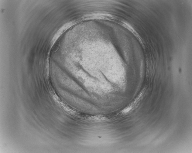 X0000054450994200508191632