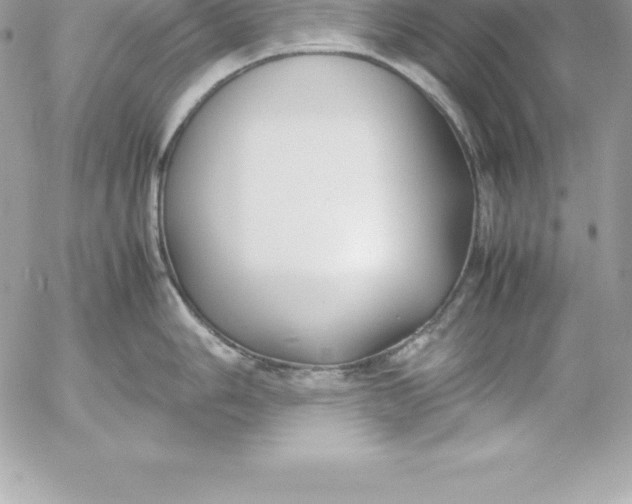 X0000054451006200508191632