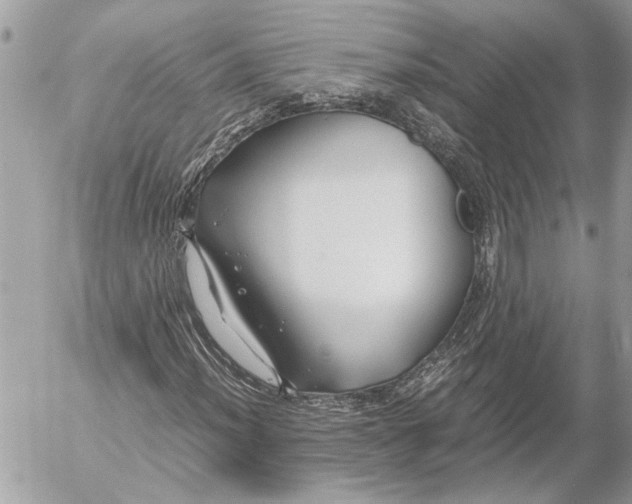 X0000054451012200508191631