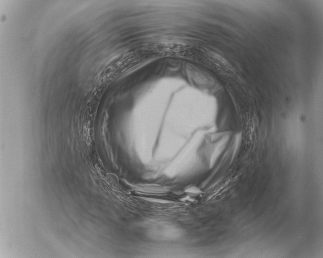 X0000054451013200508191631