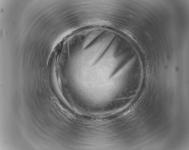 X0000054451022200508191631