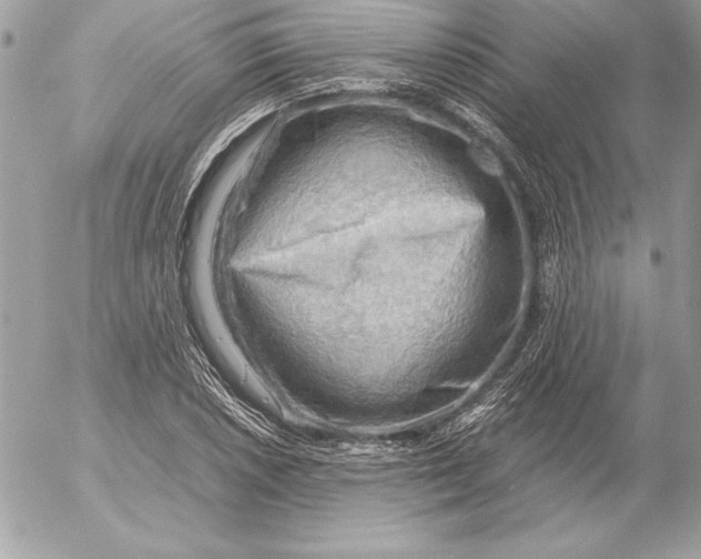 X0000054451026200508191631