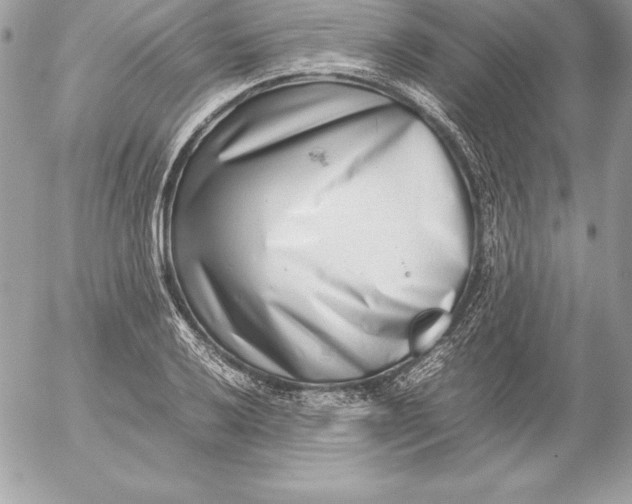X0000054451032200508191631