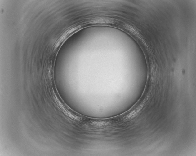 X0000054451033200508191631