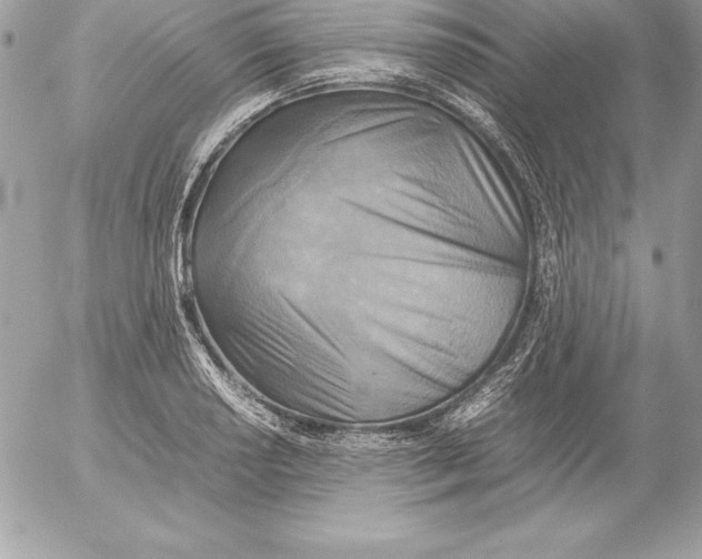 X0000054451034200508191631
