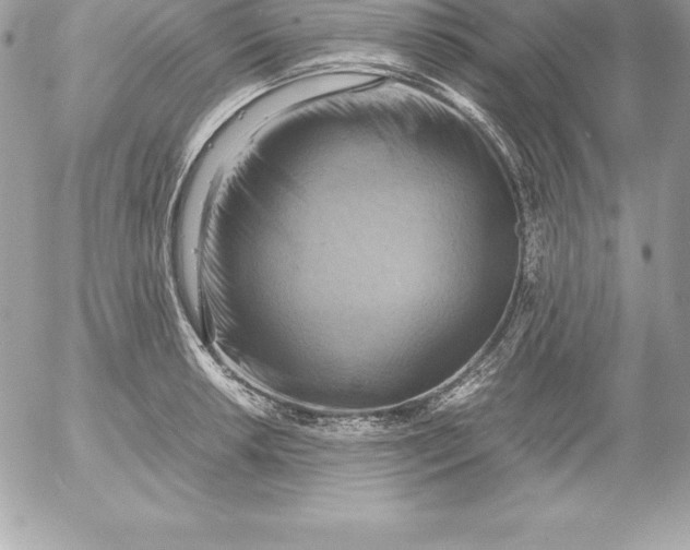 X0000054451042200508191632
