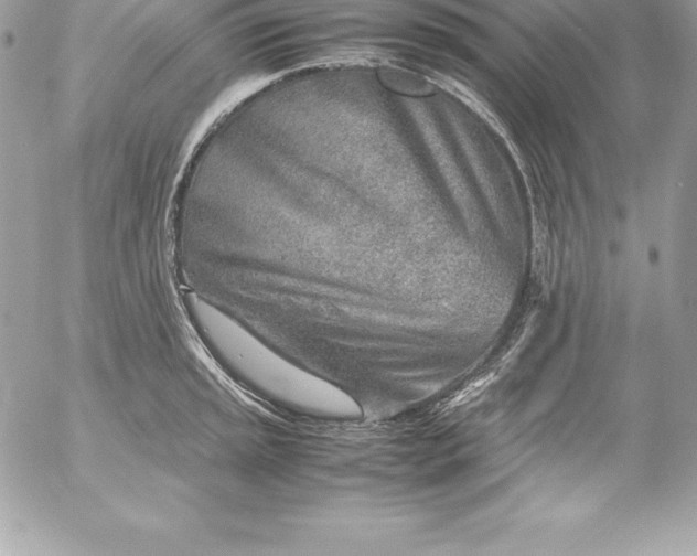 X0000054451045200508191632