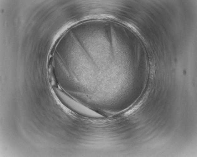 X0000054451046200508191632