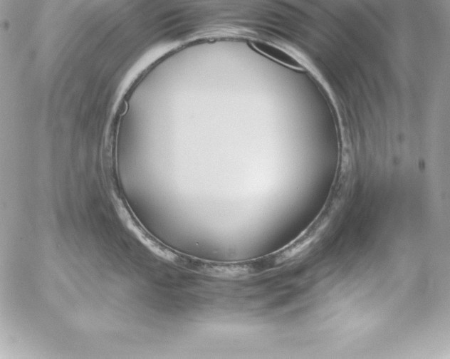 X0000054451053200508191632