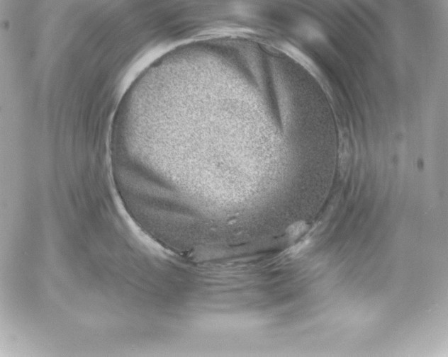 X0000054451055200508191632