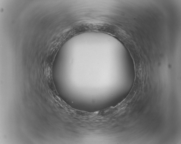X0000054451061200508191631