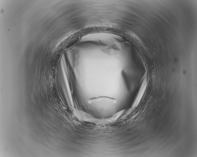 X0000054451064200508191631