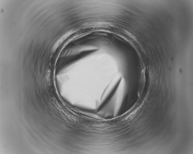 X0000054451066200508191631
