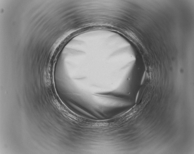X0000054451068200508191631